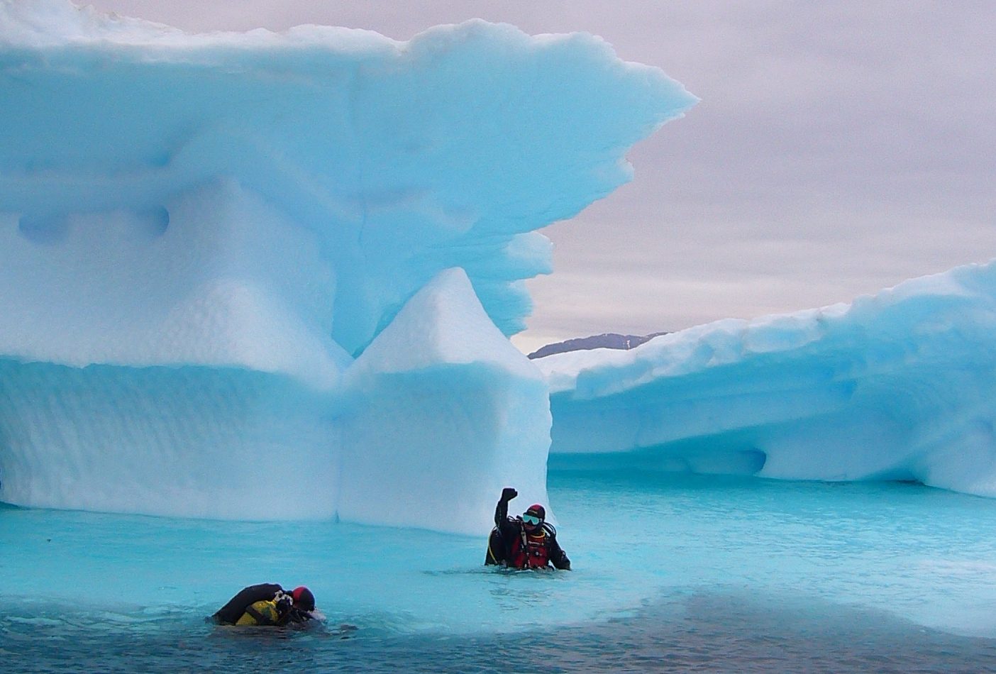 BUCEANDO ENTRE ICEBERGS EN GROENLANDIA