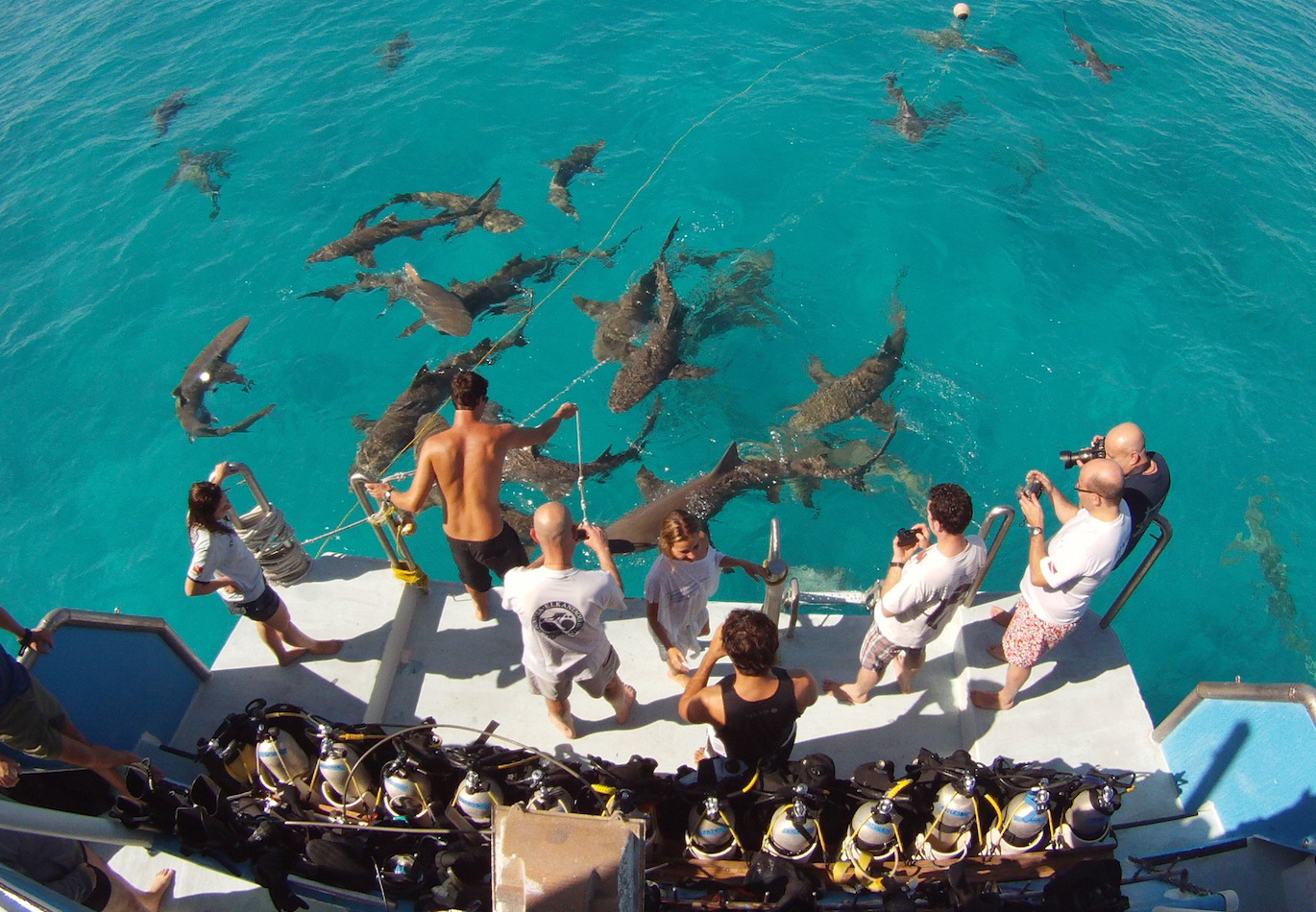 BUCEANDO CON TIBURONES: EXPERIENCIA Y SENSACIONES