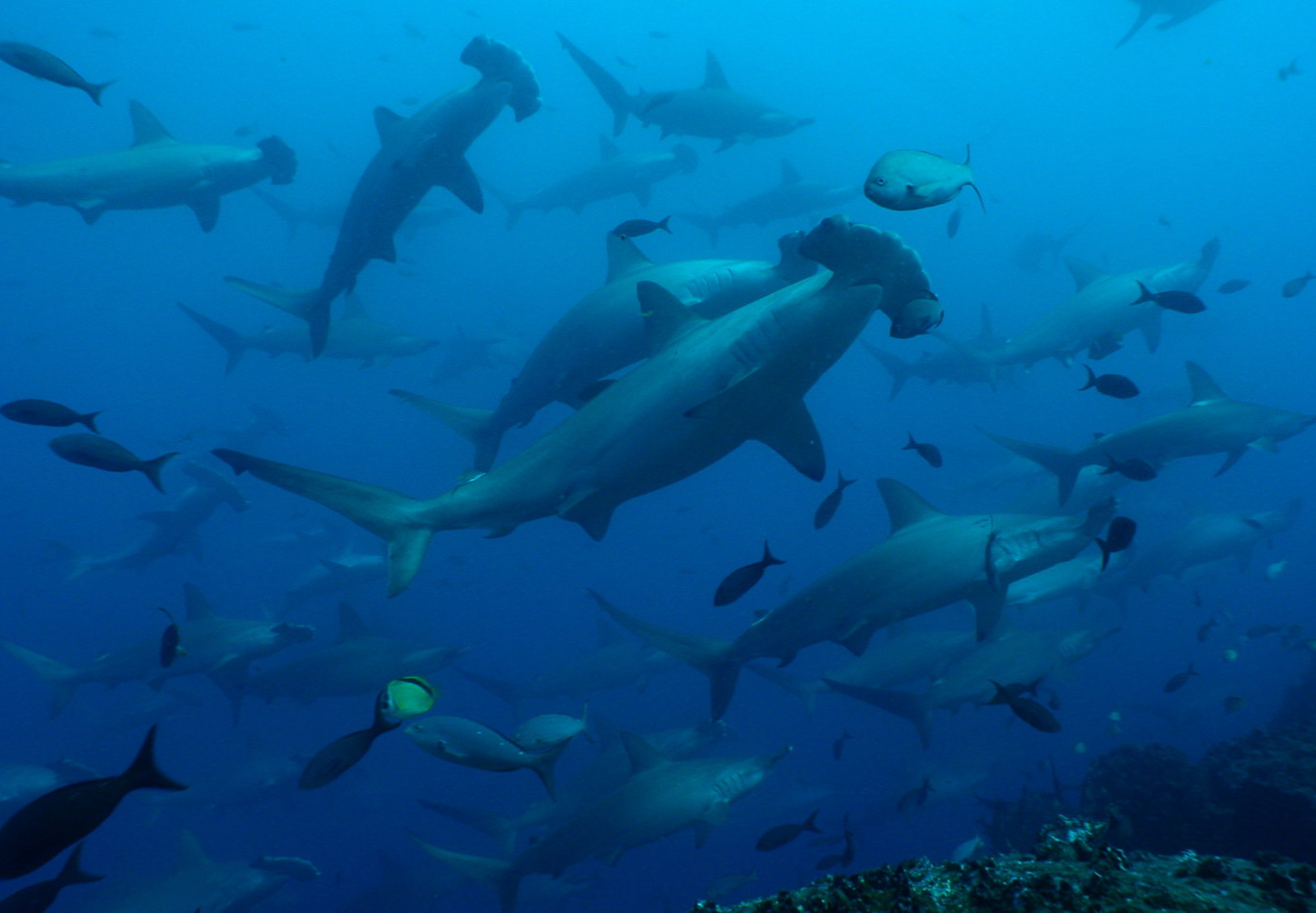 ISLA DE SANTA CRUZ Y GALÁPAGOS (ECUADOR)